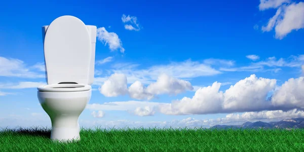 Mangkuk Toilet Putih Langit Biru Dan Latar Belakang Rumput Hijau — Stok Foto