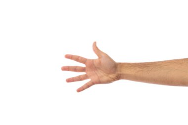 Adım 5. Erkek eli beş beyaz arka plan üzerinde kırpma yolu izole sayma