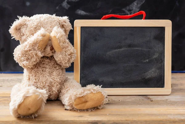 Bullismo Scuola Difficoltà Apprendimento Concetto Teddy Bear Che Copre Gli — Foto Stock