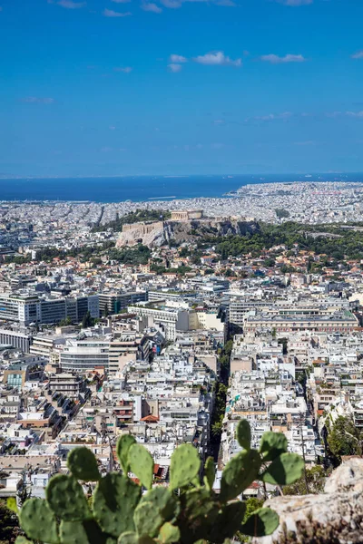 Vista Aérea Panorámica Acrópolis Ciudad Atenas Grecia Con Nopal Primer — Foto de Stock