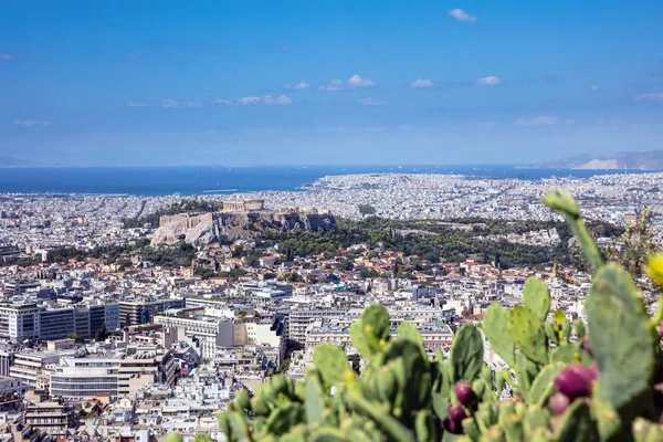 Hava Panoramik Şehir Atina Yunanistan Ile Bulanık Inciri Kaktüs Planda — Stok fotoğraf