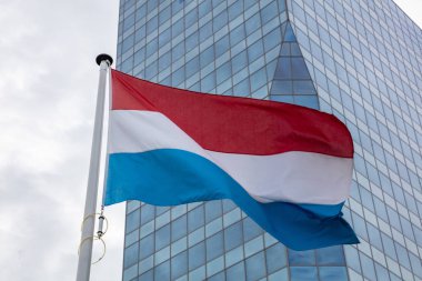 Hollanda bayrağı. Bir kutup sallayarak, modern ofis binası arka plan üzerinde Hollanda bayrağı