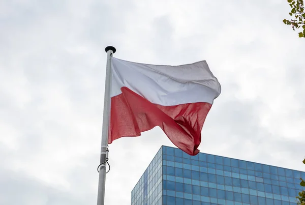Bandera Polonia Bandera Polaca Poste Ondeando Moderno Edificio Oficinas Fondo —  Fotos de Stock