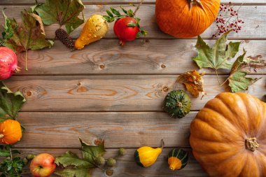 Şükran günü kavramı. Renkli pumpkins, meyve ve rustik ahşap arka plan, sonbahar yaprakları uzay, üstten görünüm Kopyala