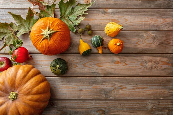 Thanksgiving Concept Colorful Pumpkins Fruits Fall Leaves Rustic Wooden Background — Stock Photo, Image