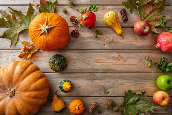 Dankbarkeitskonzept Bunte Kürbisse Früchte Und Herbstblätter Auf Rustikalem Holzgrund Kopierraum — Stockfoto