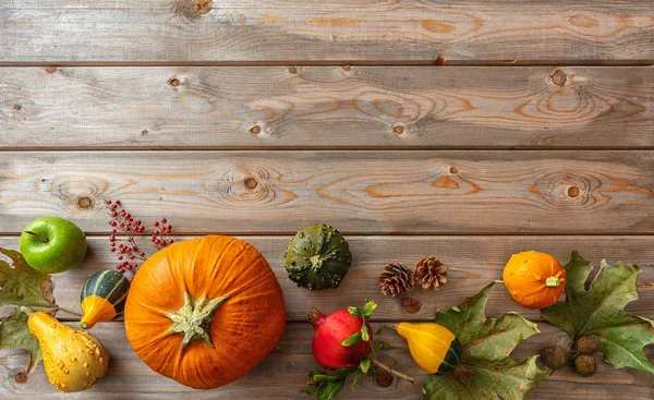 Thanksgiving Concept Colorful Pumpkins Fruits Fall Leaves Rustic Wooden Background — Stock Photo, Image