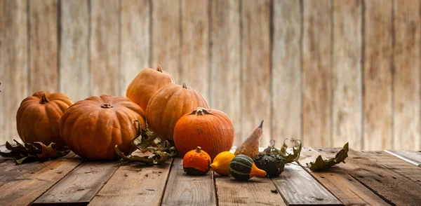 Concepto Acción Gracias Calabazas Coloridas Hojas Otoño Sobre Fondo Rústico — Foto de Stock