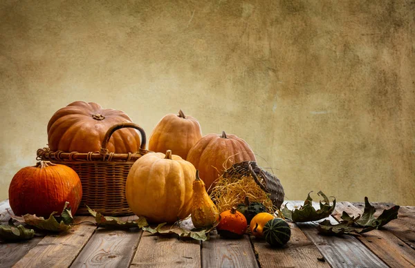 Concepto Acción Gracias Calabazas Coloridas Hojas Otoño Mesa Madera Rústica — Foto de Stock