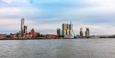 Rotterdam, Hollanda manzarası ve öğleden sonra Erasmus Köprüsü