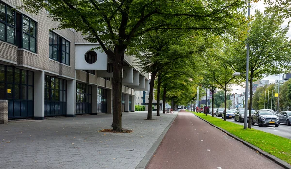 Fiets Verkeer Lanes Stoep Voor Voetgangers Met Bomen Verkeer Stad — Stockfoto