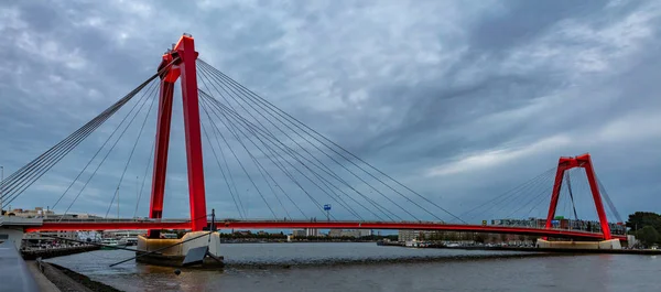 Rotterdam Hollanda Willem Köprüsü Planda Öğleden Sonra — Stok fotoğraf