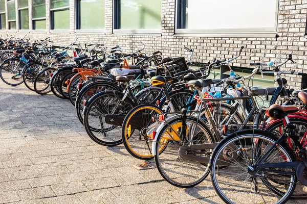 Красочные Велосипеды Припаркованы Булыжной Улице Роттердаме Фоне Здания — стоковое фото