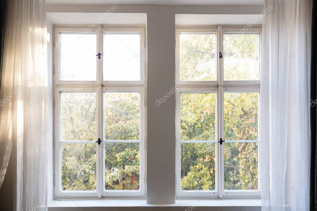 Fall, autumn season. Trees with yellow leaves out of two closed white wooden windows