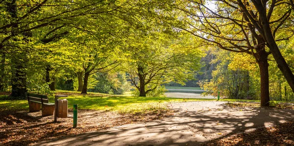 Πάρκο Της Πόλης Φθινόπωρο Μόναχο Γερμανία Προβολή Πεδίο Γρασίδι Και — Φωτογραφία Αρχείου