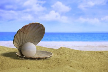 İnci bir istiridye kabuğu bir kum plajındaki kopya alanı. 3D çizim