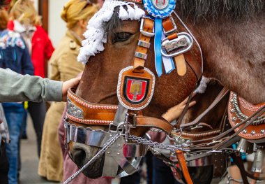 At baş closeup, Oktoberfest, Bavyera, Münih dekore edilmiştir.