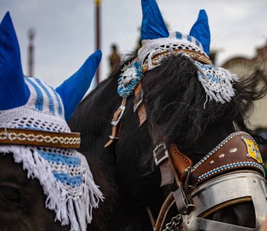 Dekore edilmiş at kafaları closeup, Oktoberfest, Bavyera, Münih