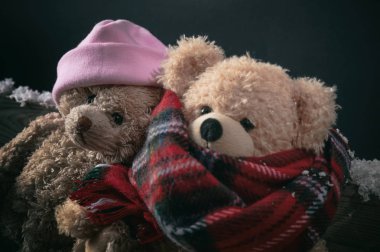 Kış, soğuk hava, aşk. Açık havada, closeup görünümü snowed bir bankta oturan çift oyuncak ayılar