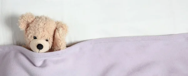 Hoofdpijn Slapeloosheid Concept Cute Teddy Bed Houdt Zijn Hoofd Banner — Stockfoto