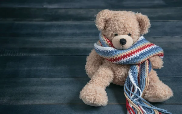 Inverno Freddo Bambini Caldo Rilassante Carino Orsacchiotto Con Sciarpa Colorata — Foto Stock