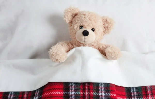 Kinder Schlafen Niedlicher Teddy Mit Einer Warmen Decke Bedeckt Bett — Stockfoto