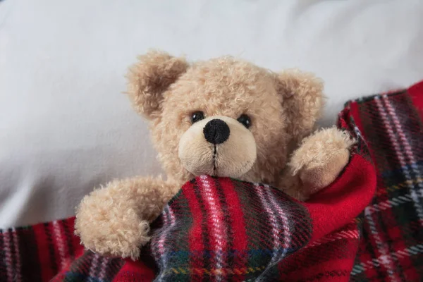 Kids Bedtime Cute Teddy Covered Warm Blanket Resting Bed — Stock Photo, Image