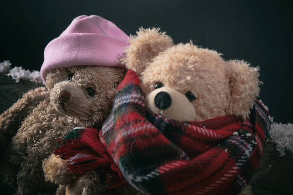 Winter, cold weather, love. Couple teddy bears sitting outdoors, on a snowed bench, closeup view