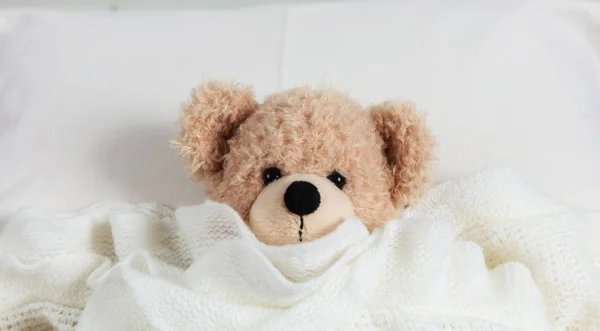 Kids Bedtime Cute Teddy Covered Warm Blanket Resting Bed Stock Photo