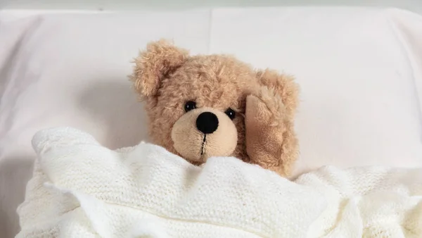 Headache Insomnia Concept Cute Teddy Bed Covered Warm Blanket Holding Stock Photo