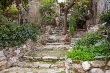 Plaka, Atina Yunanistan. Eski şehrin dar merdivenler, evler cepheler ve ağaçlar. Düşük açılı, perspektif görünüm