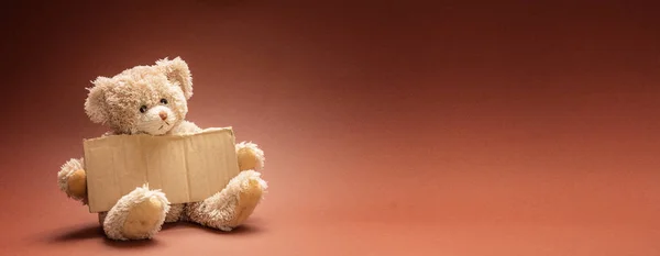 Armes Obdachloses Kind Bettelt Teddybär Traurig Hält Ein Leeres Pappschild — Stockfoto