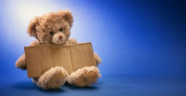 Povero Bambino Senzatetto Che Implora Teddy Orso Triste Tenendo Segno — Foto Stock