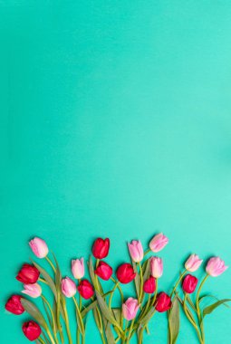 Bahar, Paskalya kavramı. Yeşil arka planda, üstten görünüm, pembe ve kırmızı laleler alan kopyalama