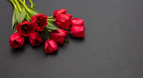 Valentin Nap Koncepció Vörös Tulipán Csokor Sötét Szürke Háttér Másol — Stock Fotó
