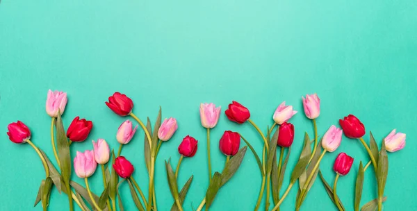 Весна Великодня Концепція Рожеві Червоні Тюльпани Зеленому Тлі Вид Зверху — стокове фото