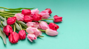 Bahar, Paskalya kavramı. Pembe ve kırmızı lale buketi yeşil arka plan, üstten görünüm, kopya alanı