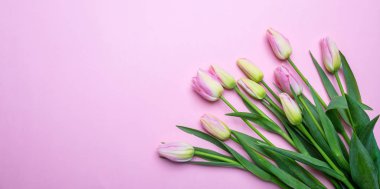 Bahar, Paskalya kavramı. Pembe lale buketi pastel pembe, üstten görünüm, kopya alanı
