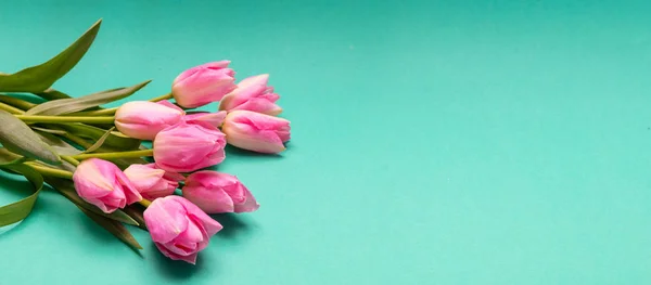 Весна Великодня Концепція Букет Рожевих Тюльпанів Зеленому Фоні Банер Місце — стокове фото