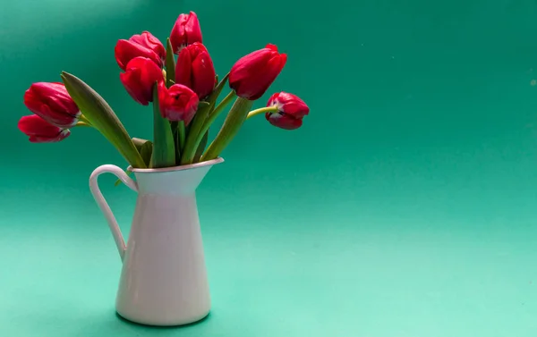 Primavera Conceito Páscoa Tulipas Vermelhas Vaso Branco Fundo Verde Espaço — Fotografia de Stock