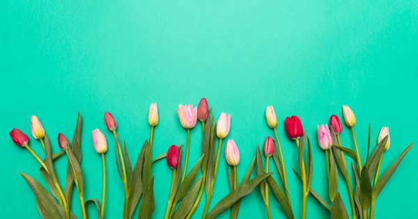 Весна Великодня Концепція Рожеві Червоні Тюльпани Зеленому Тлі Вид Зверху — стокове фото