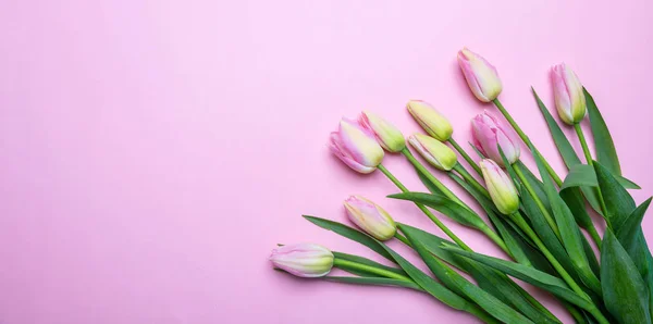 Tavaszi Húsvéti Koncepció Rózsaszín Tulipán Csokor Rózsaszín Pasztell Háttér Felülnézet — Stock Fotó