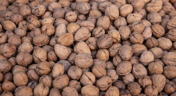 Ceviz hasat. Bütün ceviz kabuğu arka plan, doku ile. Closeup görünümü