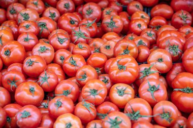 Domates bir semt pazarı durak Atina Yunanistan üzerinde kazık