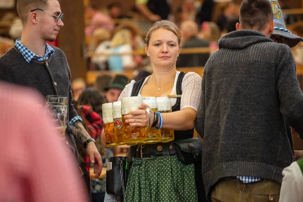 Munique, Alemanha, Oktoberfest, garçonete em traje de tirolesa segurando cervejas, fundo interior da barraca — Fotografia de Stock