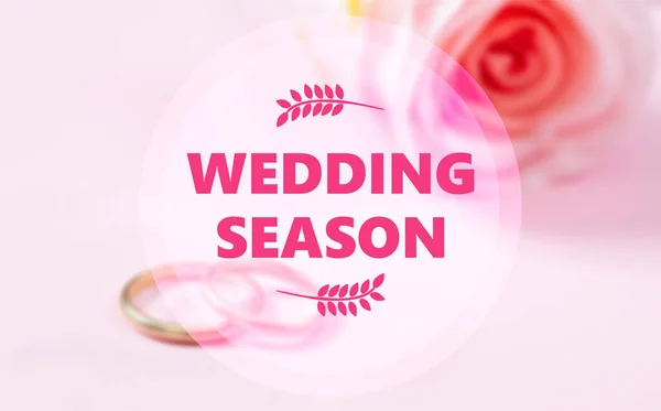 Texto de la temporada de bodas en borroso anillos de boda y rosa rosa de fondo — Foto de Stock