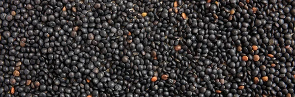 黑色小扁豆未煮熟的完整背景, 横幅, 顶部视图 — 图库照片