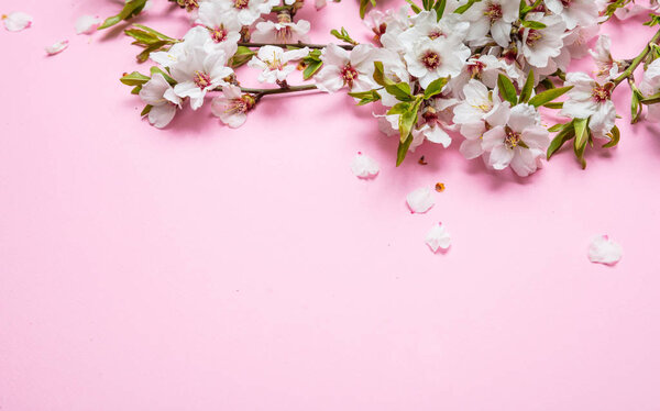 Ramo de flores de almendras sobre fondo rosa, espacio para copiar — Imagen de stock Ramo de flores de almendras sobre fondo rosa, espacio para copiar Fotos De Stock Sin Royalties Gratis