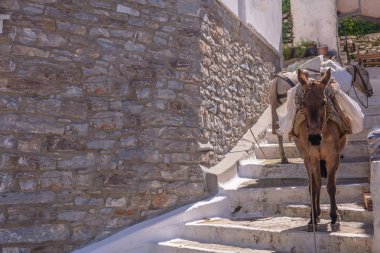Yunanistan, Kea Adası. Mal taşıma için kullanılan merdiven ve katırlar eşekler ile Ioulis şehir dar sokak