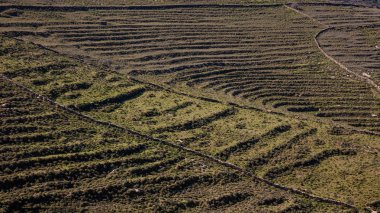 Yunanistan. Kea Adası. Bahar kayalık peyzaj